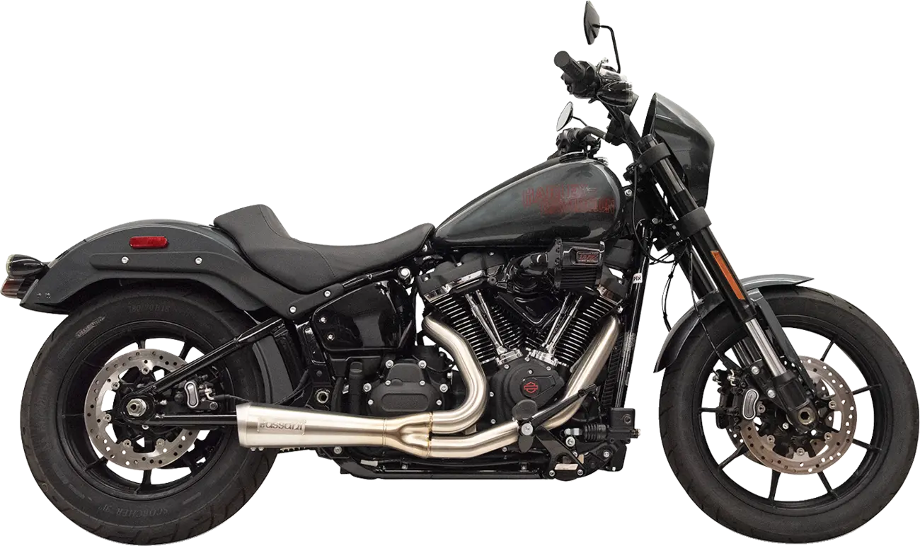 Bassani Xhaust 2-into-1 The Ripper Avgassystem