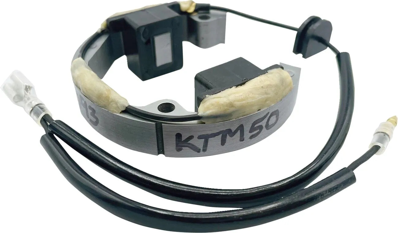 Rick's Motorsport Electric Stator