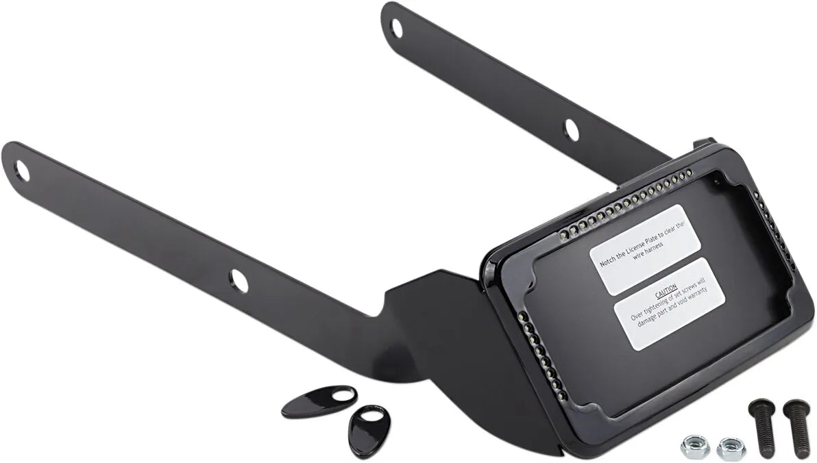 Cycle Visions Curved License Mount With Led Frame