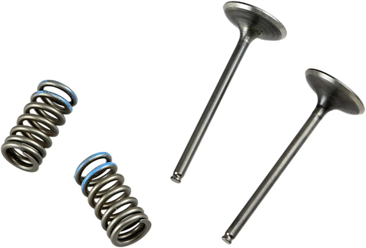 Prox Valve And Spring Kit - Steel, Nitrided Valves – Parts Denmark
