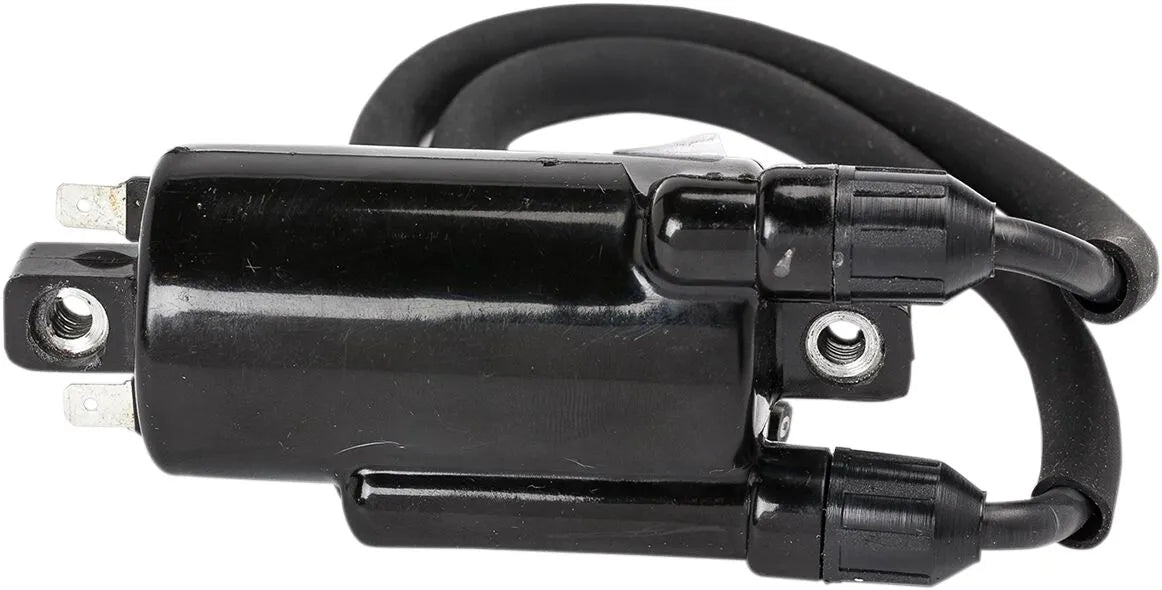 Rick's Motorsport Electric Ignition Coil