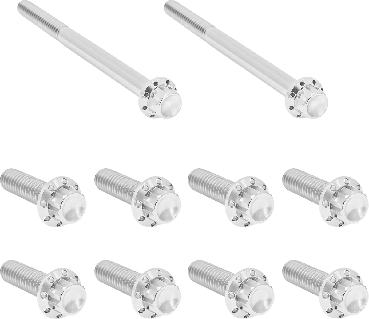 Arlen Ness Titanium 12-Point M8 Bolt Kit for H-D M8 2017-2020