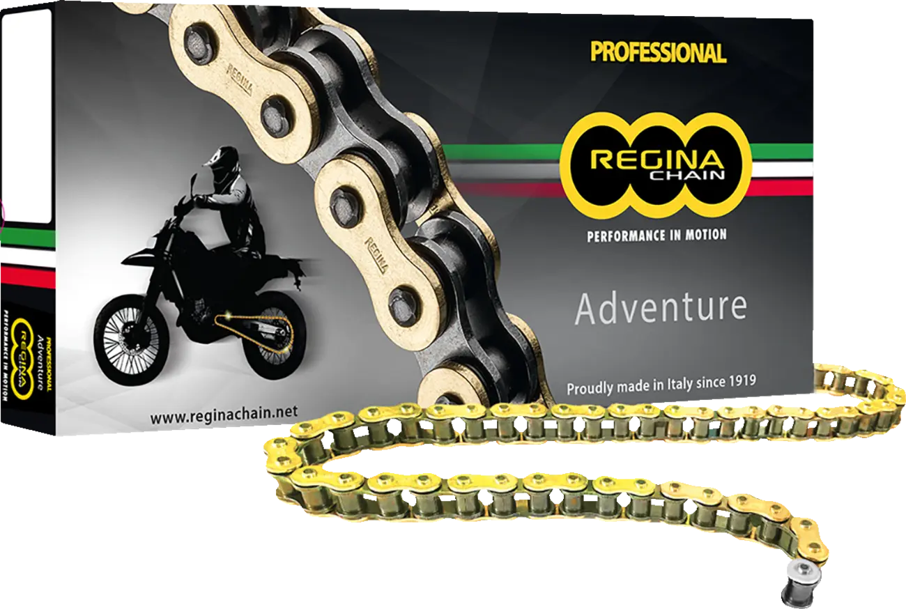 Regina 525 Zre Z-ring Chain - High-performance