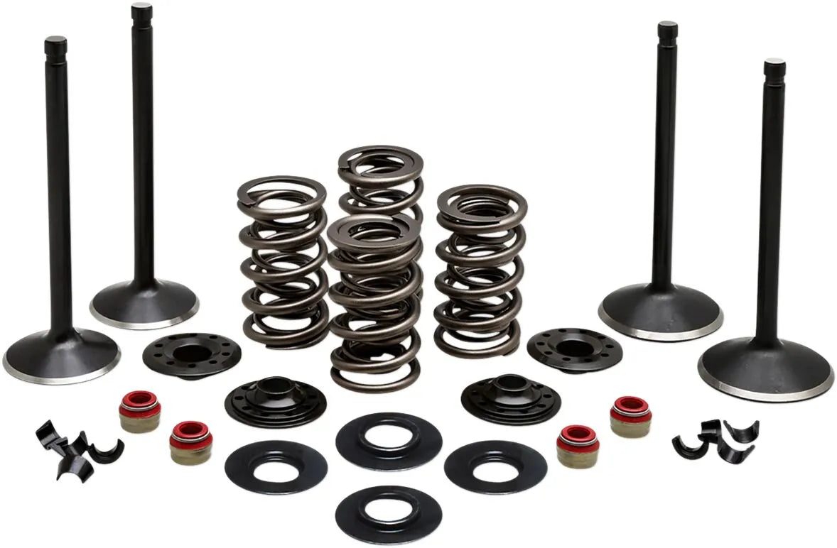 Kibblewhite Engine Valve Kit Black Diamond Stainless