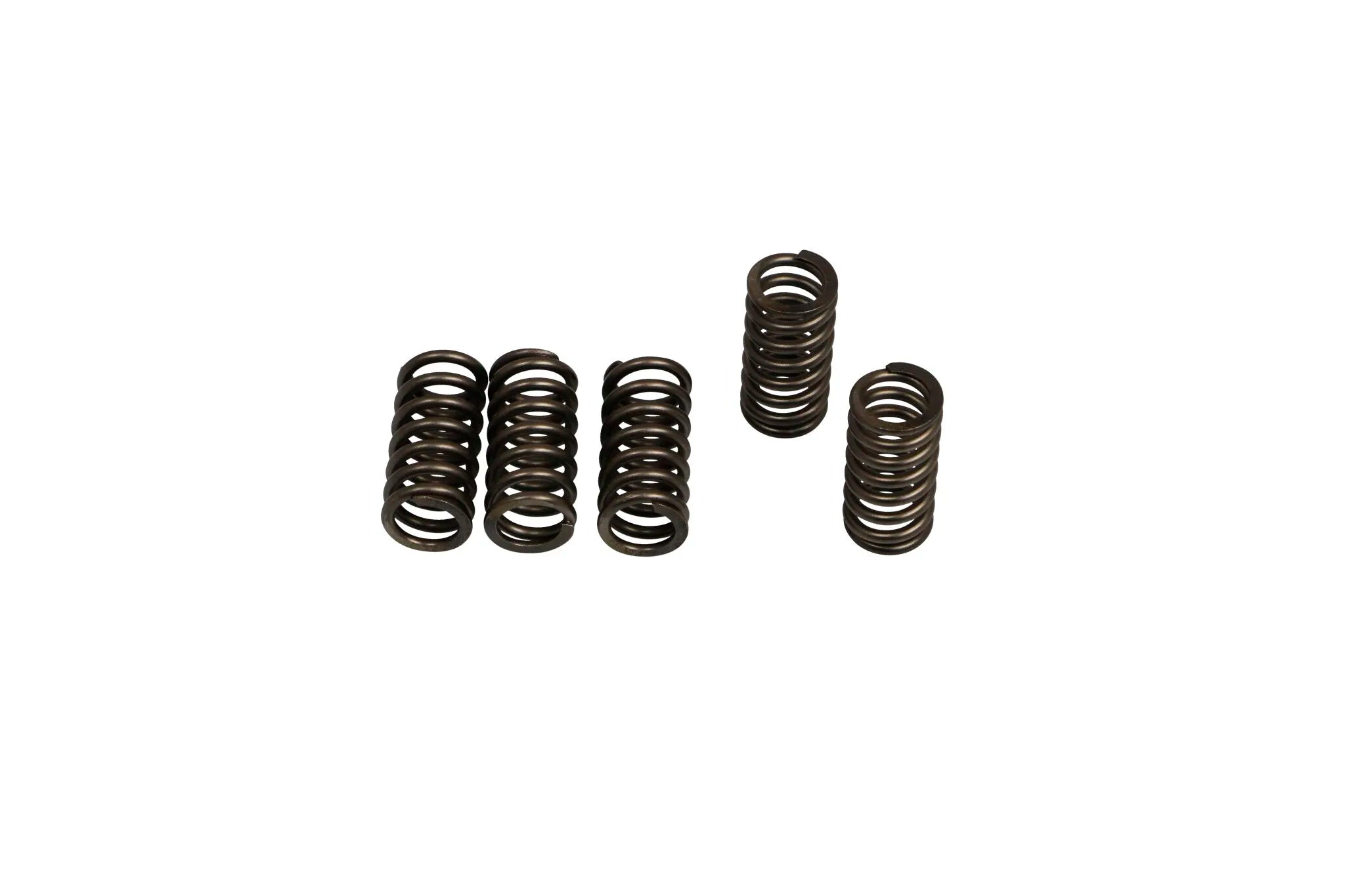 Ebc Csk Clutch Spring Set