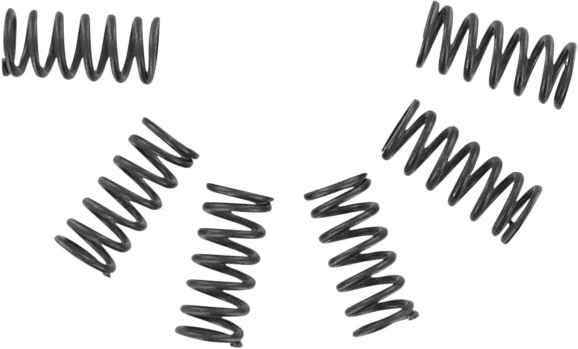 Ebc Clutch Springs