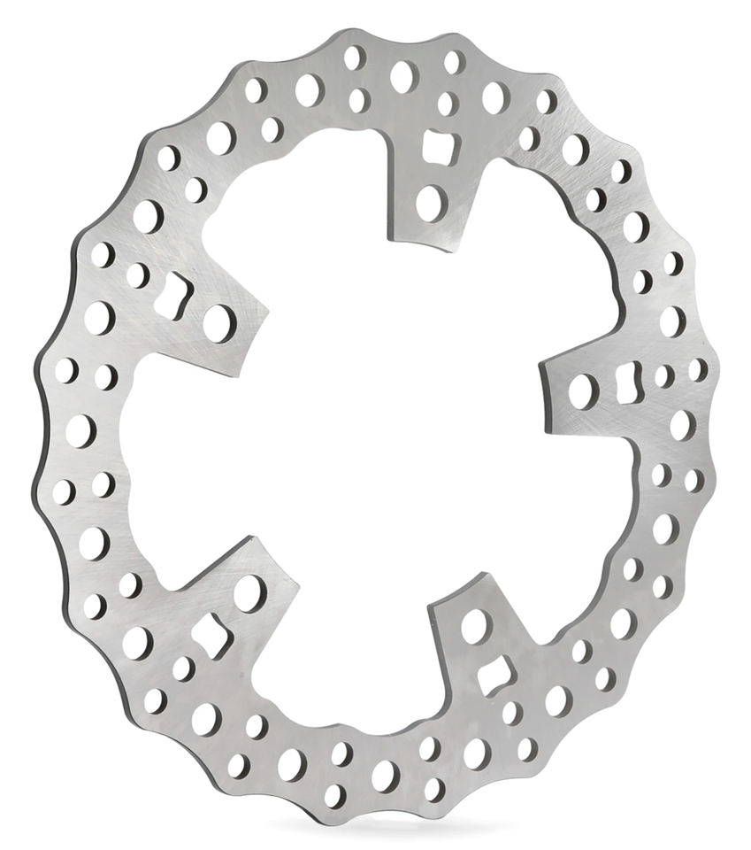 Arlen Ness Disc Brake Rotors