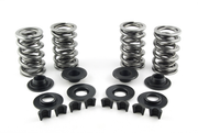 AV&V Valve Spring Kits – Engine