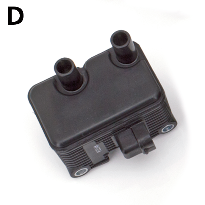 Zodiac Eco Line High Performance Ignition Coils – Engine Electrics