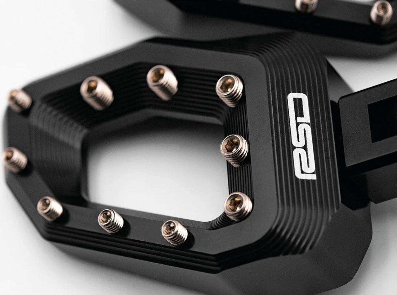 Zodiac Roland Sands Design Sector Pegs – Foot Control