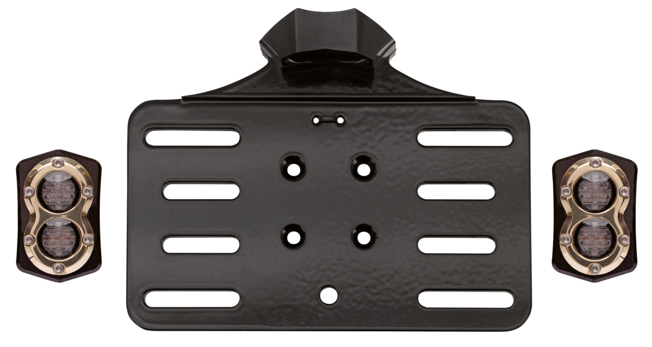 Vity's Design Touring Taillight Kit – Electric & Light