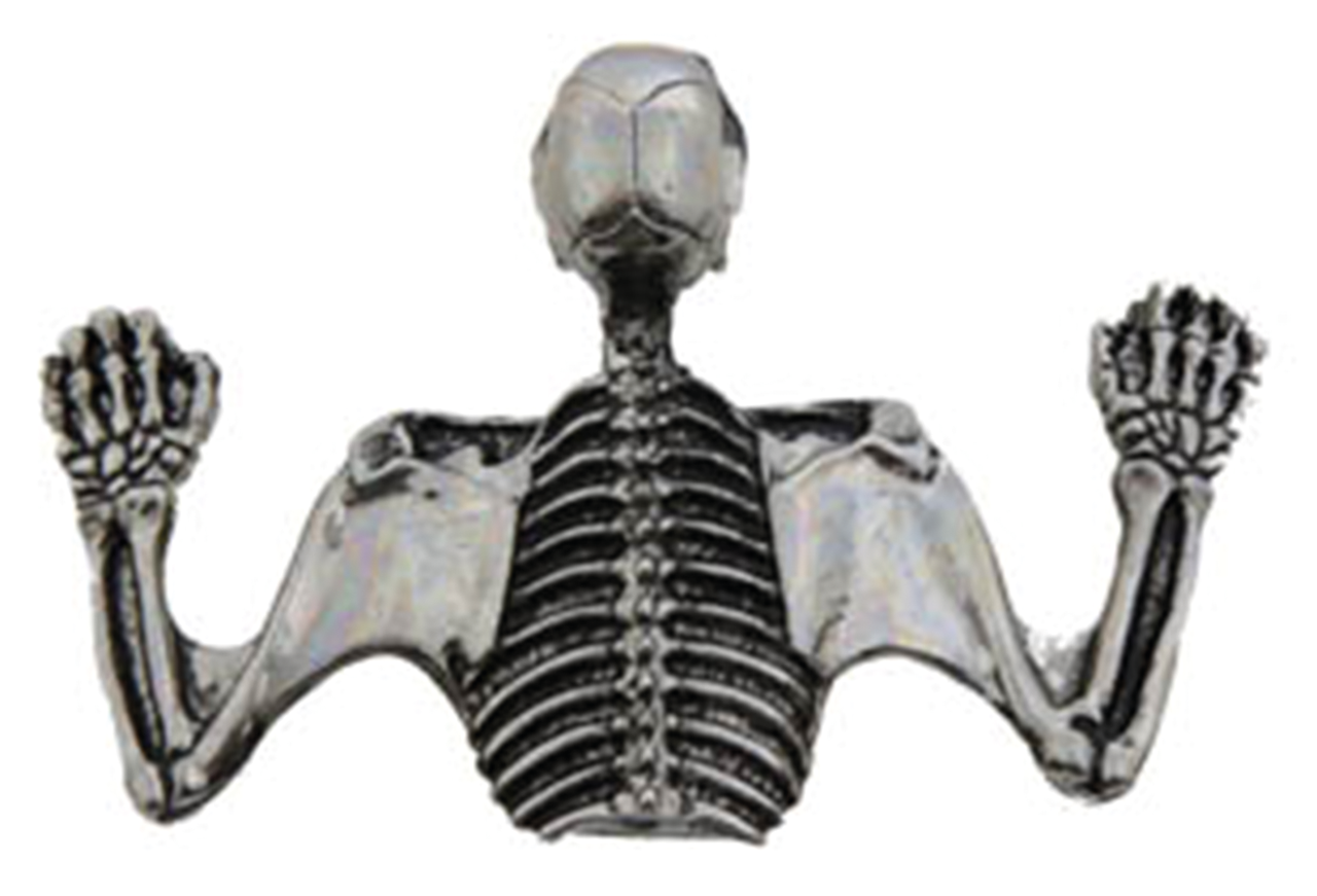 V-Twin Skulled Headlamp Visor Ornament – Electric & Light