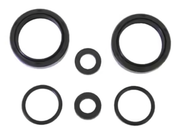 Athena Front Fork Oil Seals Kits