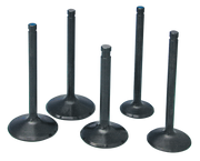 Kibblewhite Precision Machining Inc. "black Diamond" High Performance Stainless Steel Valves by Precision Machining – Engine
