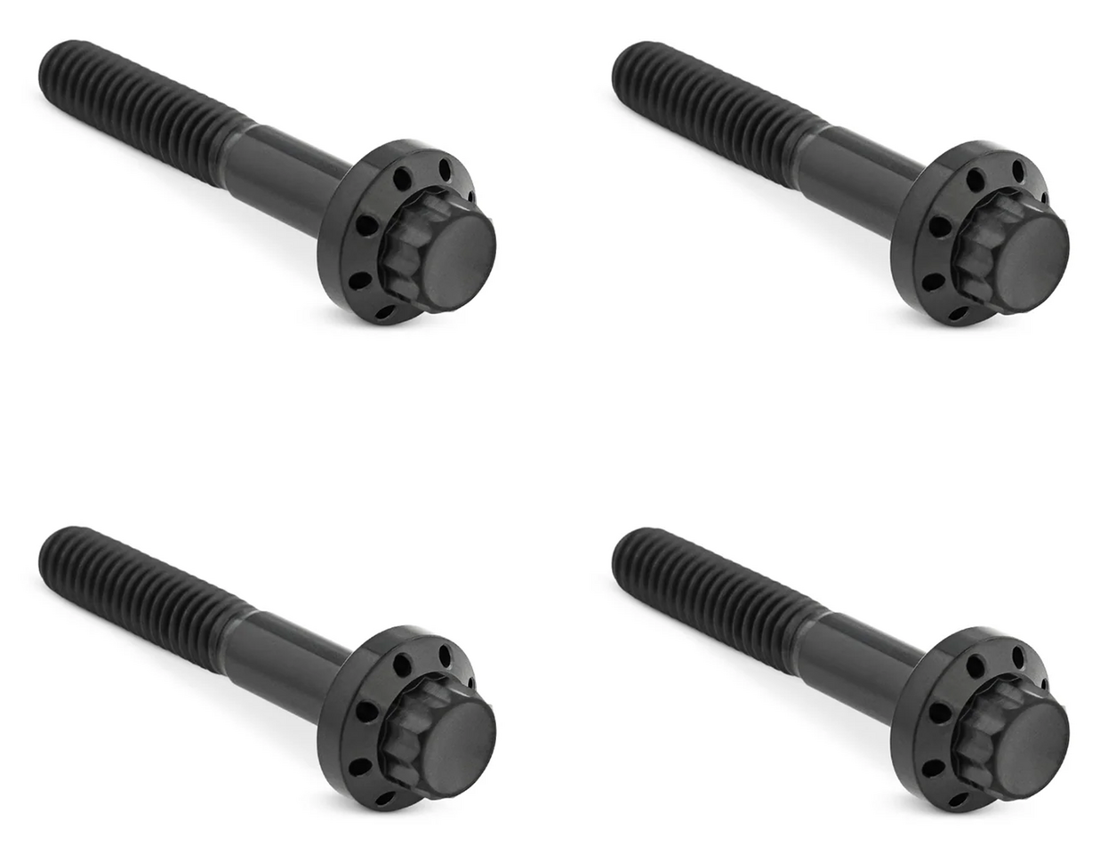 Arlen Ness Titanium 12-POINT Front Fender Bolts – Hardware
