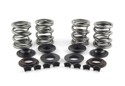 AV&V Valve Spring Kits – Engine