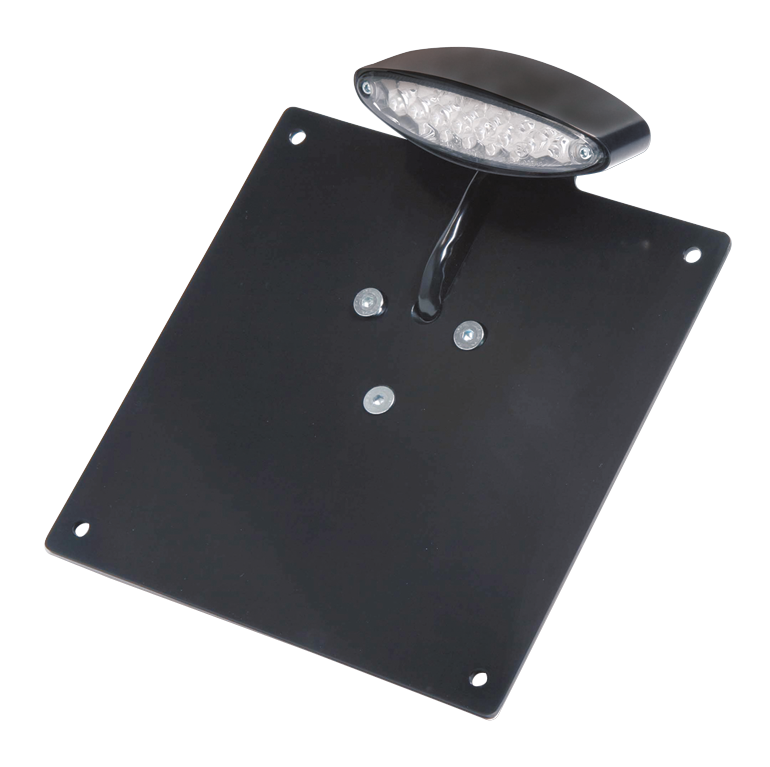 RBS Custom Parts Custom LED Taillight with License Plate Bracket – Electric & Light