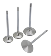 AV&V Blank Stem Oversized Valves – Engine