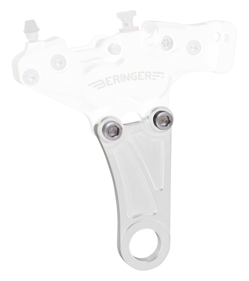 Beringer Brake System