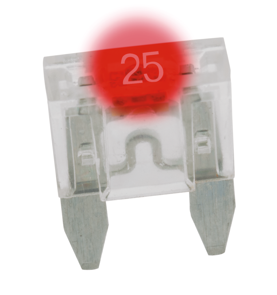 Zodiac Tell-Tale Blade Type Mini Fuses – Electric & Light
