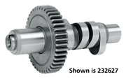 Andrews Evolution Big Twin Cams – Engine